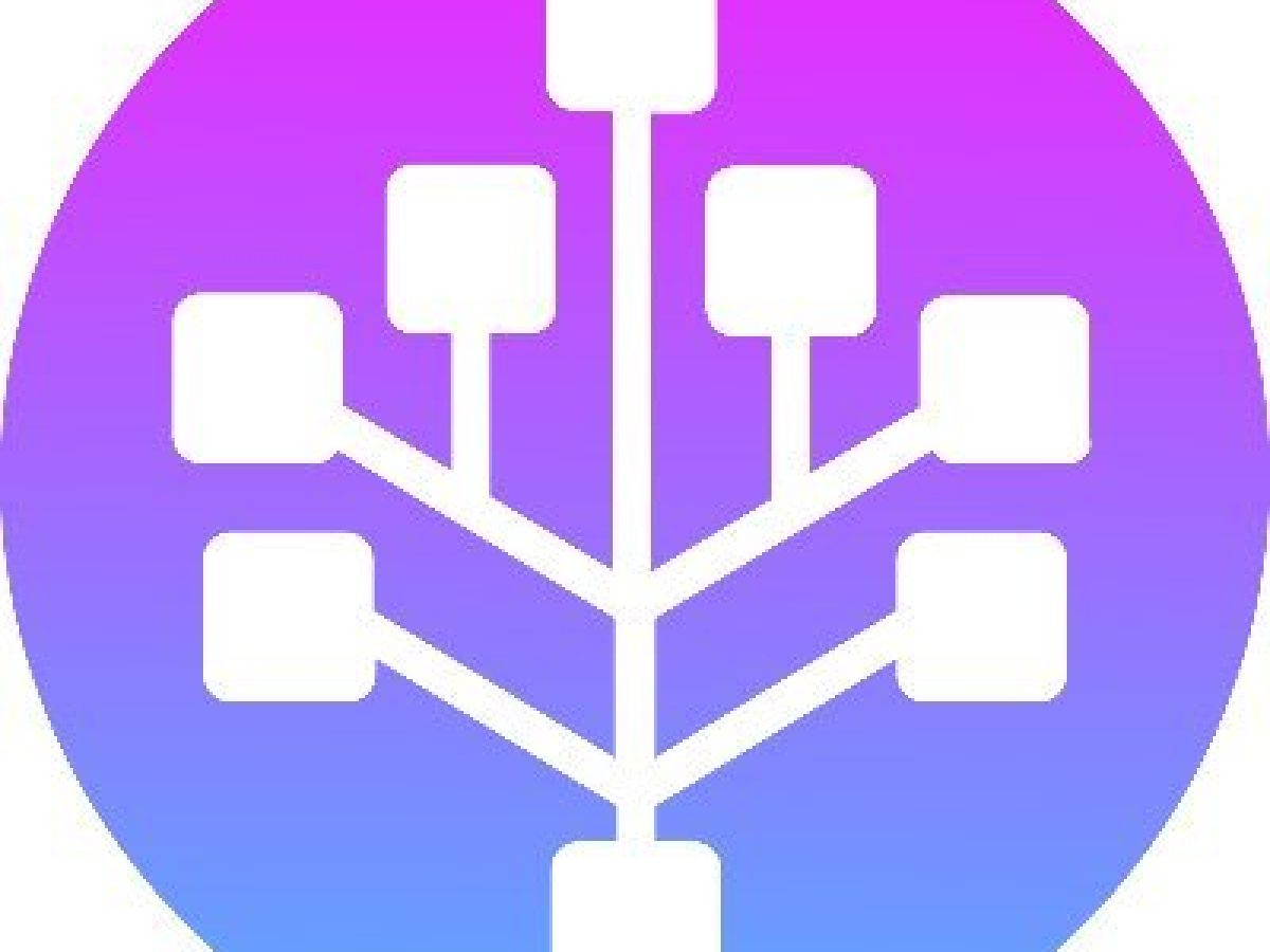 Sedra Coin – The Most Profitable Fork of KASPA